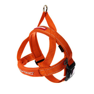 EzyDog Quickfit harness Orange