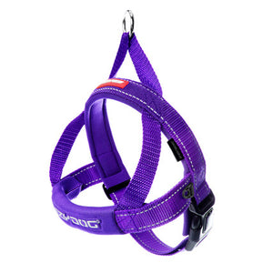 EzyDog Quickfit harness purple